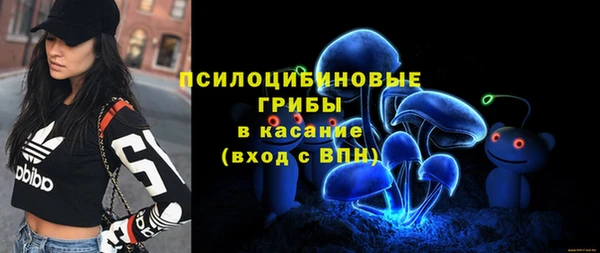 Альфа ПВП Аркадак