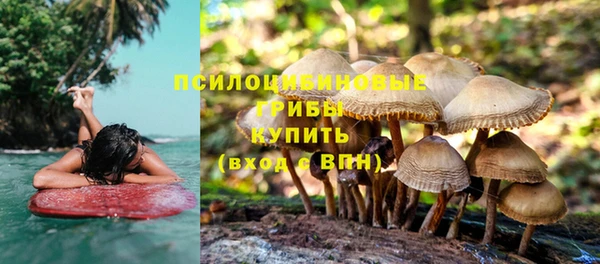 мдпв Арсеньев